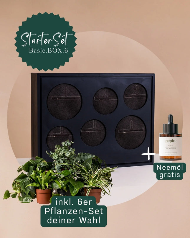 BOX.6 StarterSet