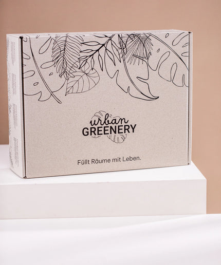 Signature BOX StarterSet