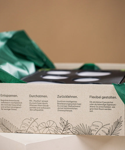 Signature BOX