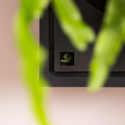 Design Set – Grüne Designwand