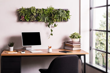 Homeoffice
