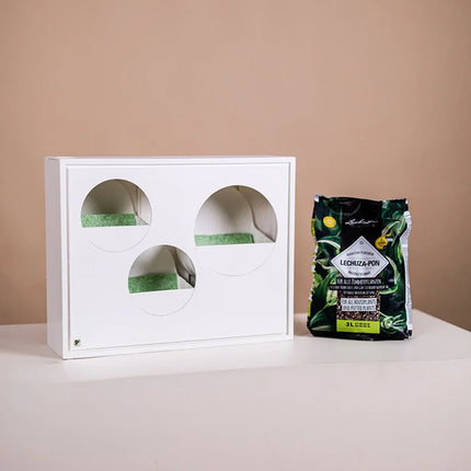 Essential Set – Kleine grüne Wand