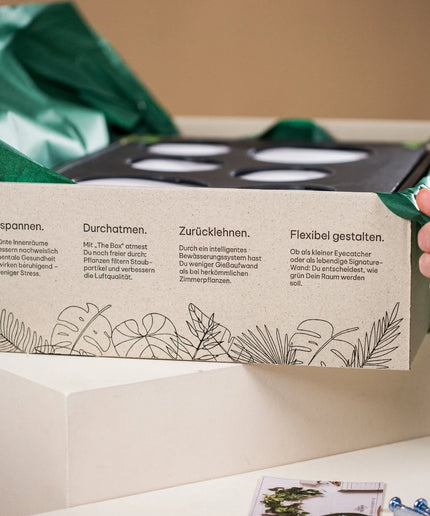 BOX.6 6-pack