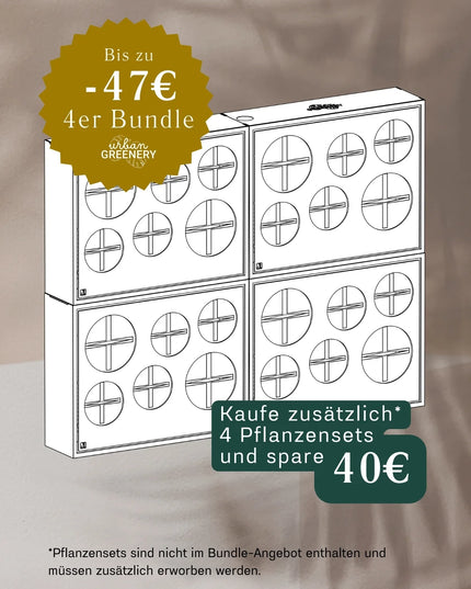 Statement Set – Große Wirkung