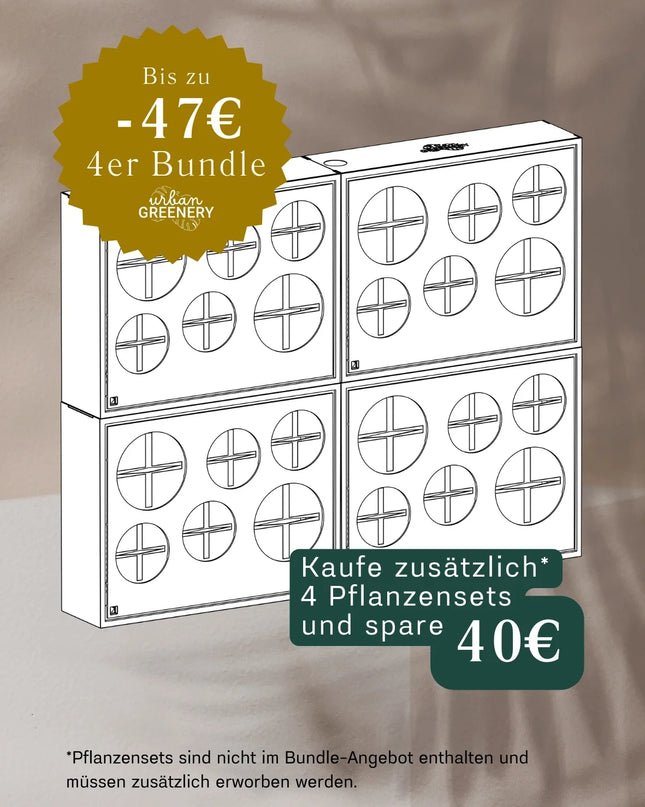 BOX.6 4-pack