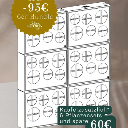 BOX.6 6er Bundle