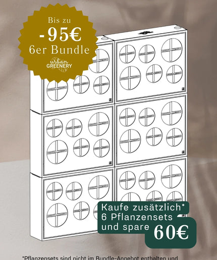 BOX.6 6-pack