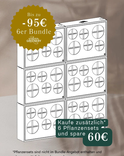 Statement Set – Große Wirkung