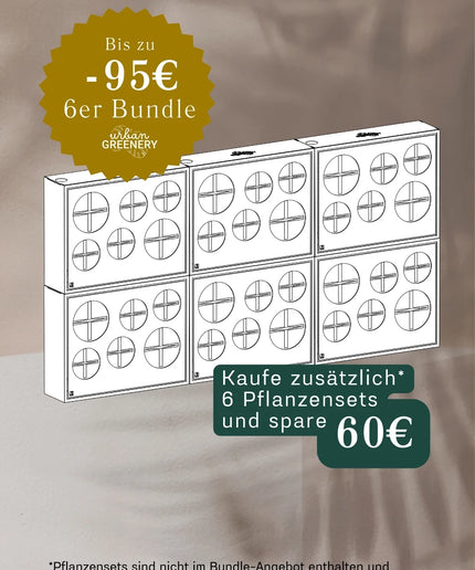 BOX.6 6-pack