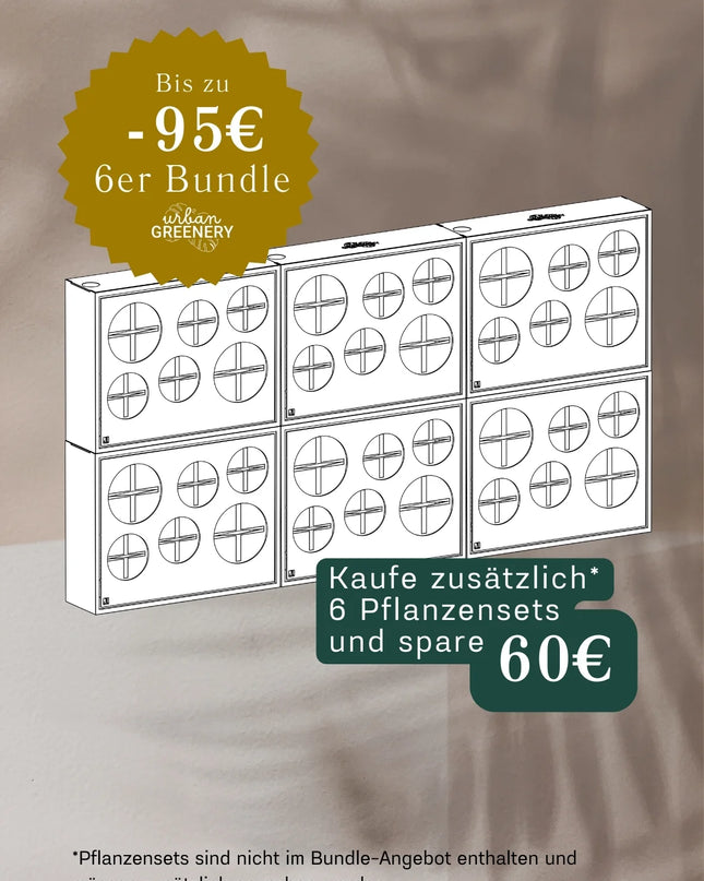 BOX.6 6-pack