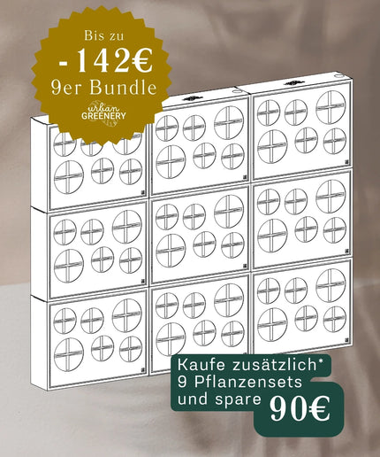 BOX.6 9-pack