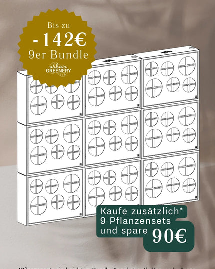 Statement Set – Große Wirkung