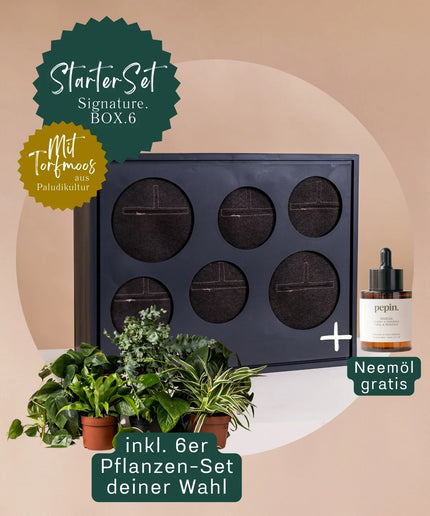 Signature BOX StarterSet