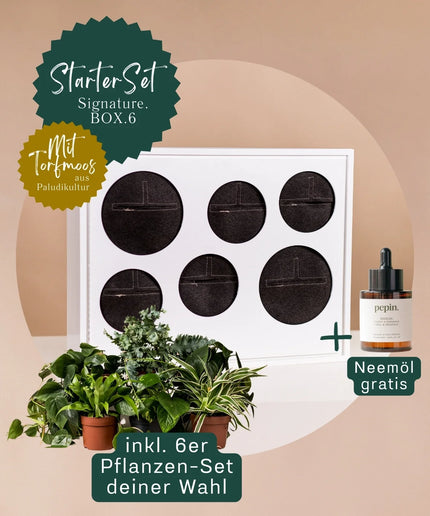 Signature BOX StarterSet