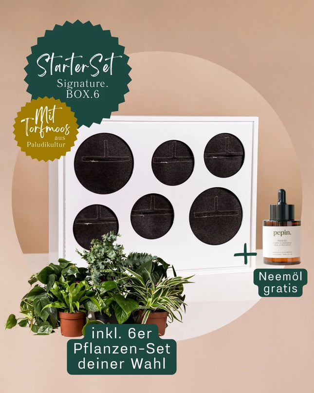 Signature BOX StarterSet