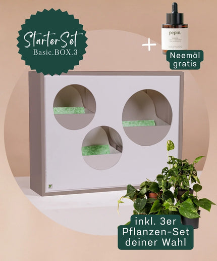 BOX.3 StarterSet