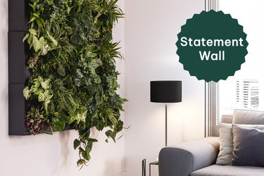 Statement Set