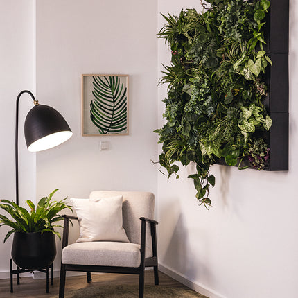 Design Set – Grüne Designwand