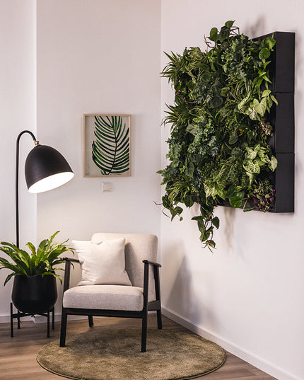 Design Set – Stilvoll gestalten