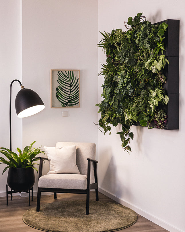 Design Set – Stilvoll gestalten