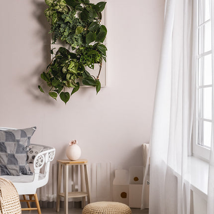 Essential Set – Kleine grüne Wand