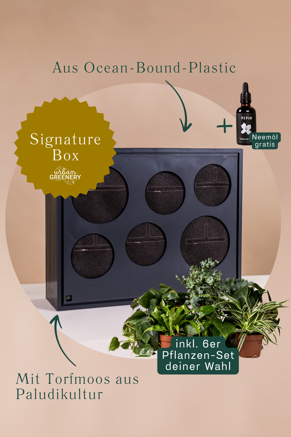 Starterset Signature Box